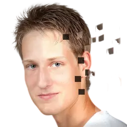 Florian Finke - Web Developer - profile avatar