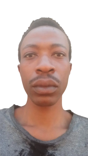 James N. - Full Stack Engineer • AI Agent Developer • Staff Software Engineer - profile avatar