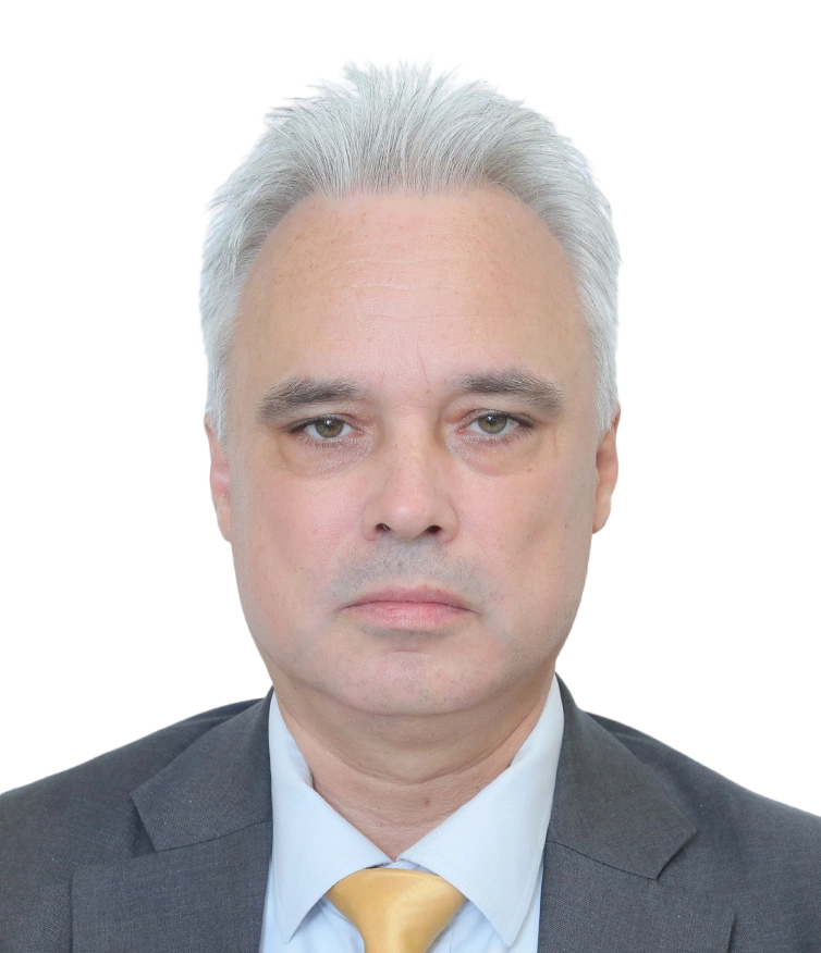 Mario Rothe - Inhaber / Gründer, IT-Berater - Profilbild