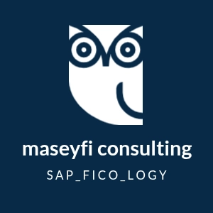 Mehmet Akif Seyfi - Senior SAP FI/CO Consultant (Freiberufler) - Profilbild