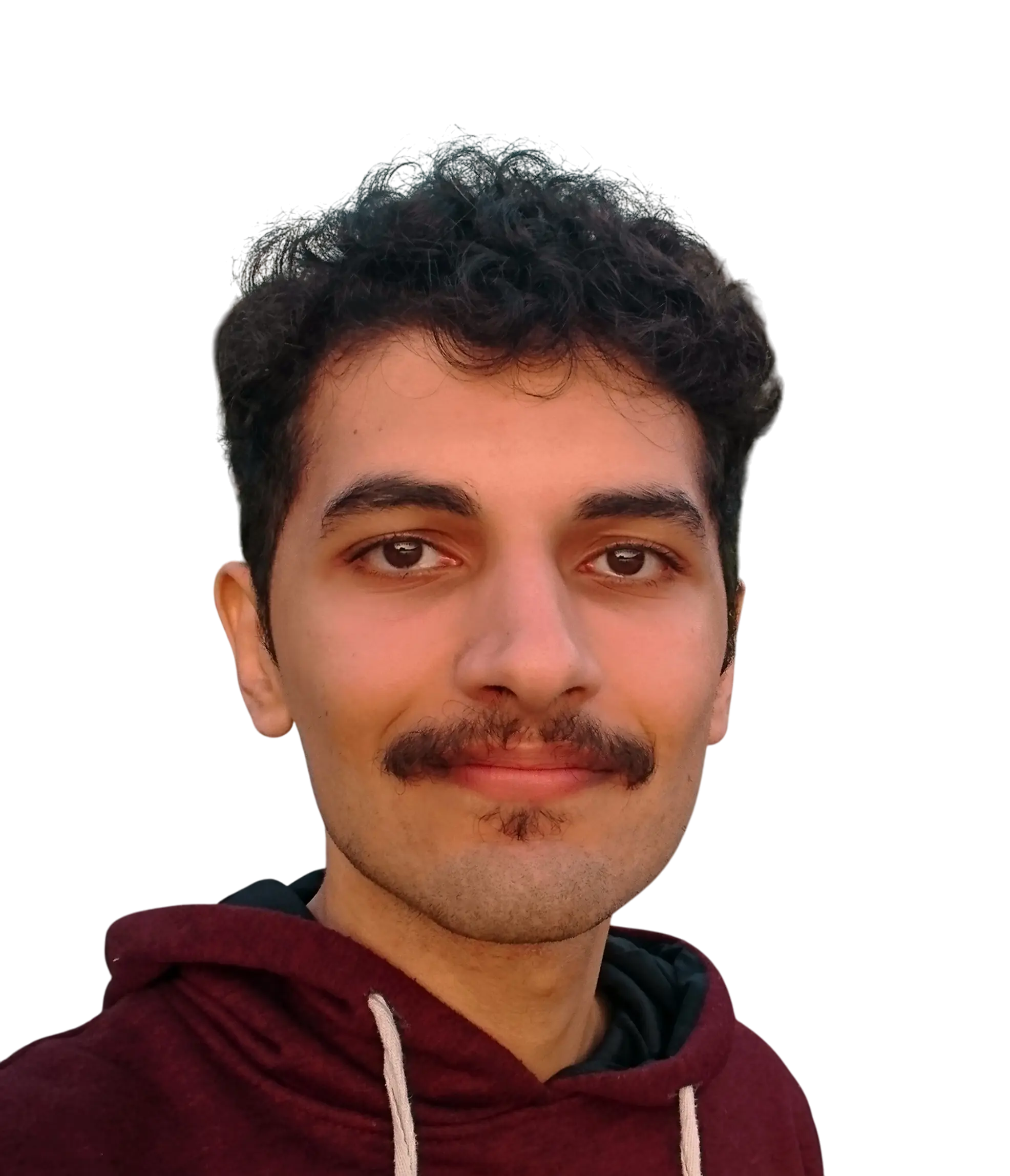 Mehrad Zamani - Werkstudent im Testautomatisierungsteam - Profilbild