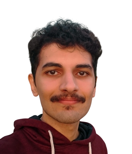 Mehrad Zamani - Student employee in the Test Automation team | Forward-thinking Go Developer - profile avatar
