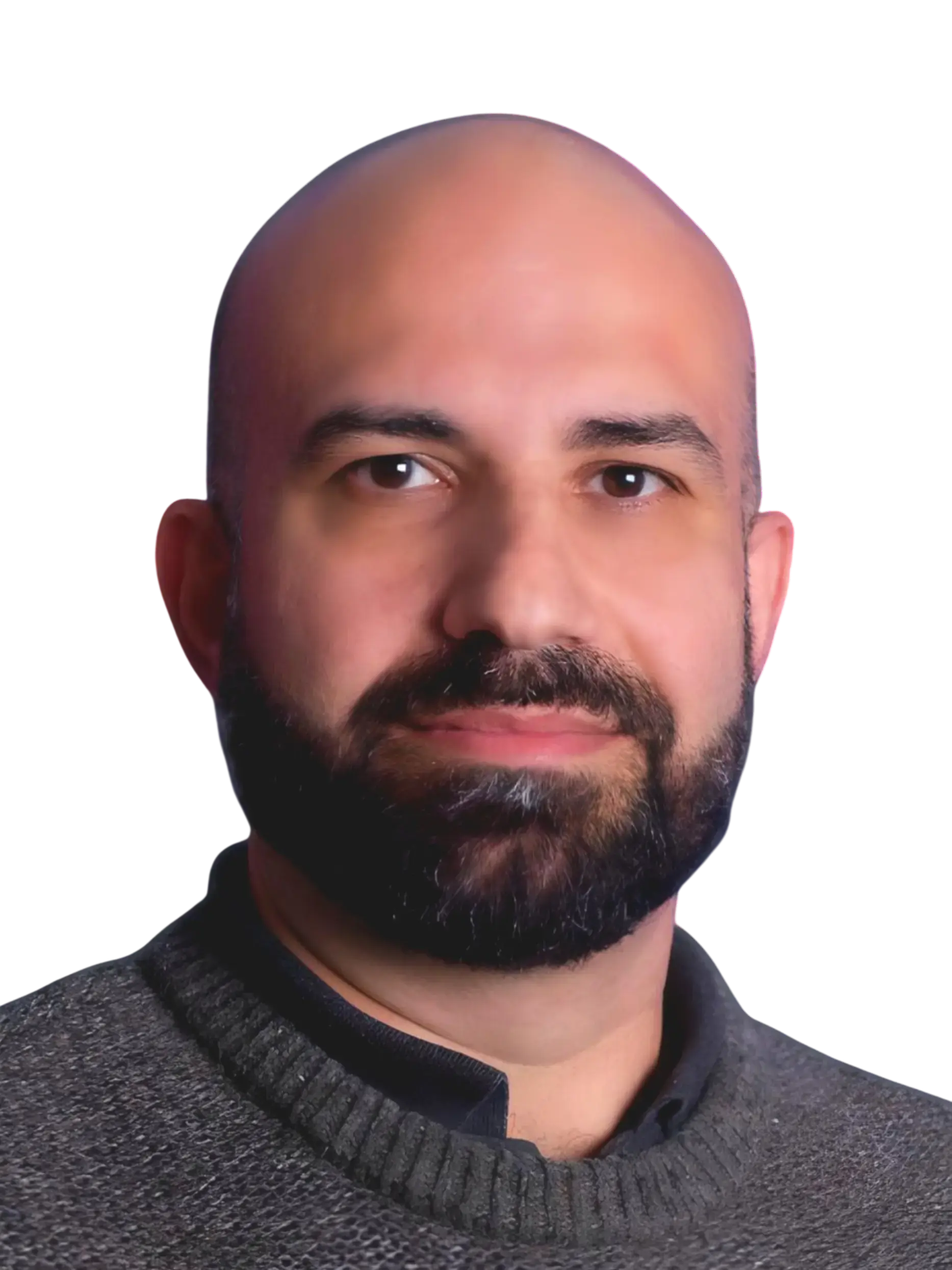 Mojtaba Peyrovi - Head of Data Analytics & BI - profile avatar