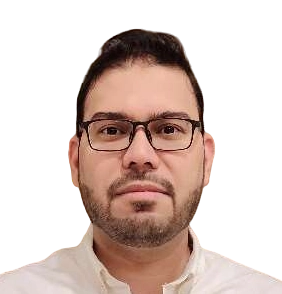 Syed M. - Berater für Softwareentwicklung - Profilbild
