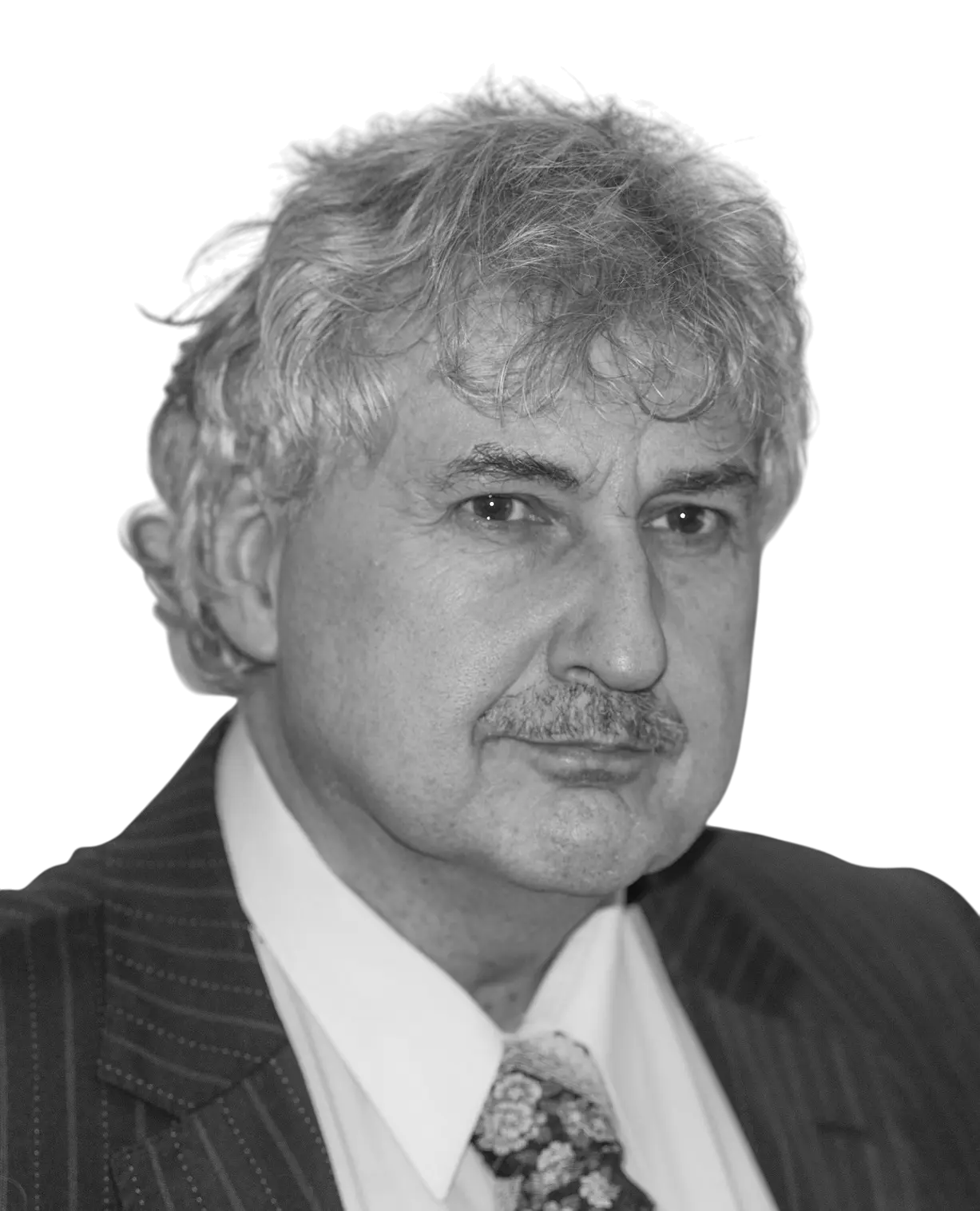 Patrick Roose - Beratung zu Nachhaltigkeit: EUDR Due-Diligence-System für Holzbetriebe - Profilbild