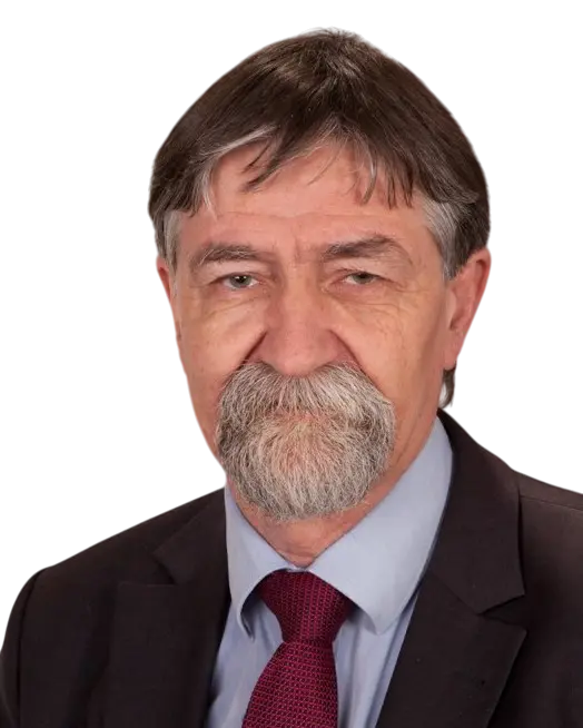 Rolf (Dr.-Ing.) Schicke - Beratung eines großen türkischen Unternehmens aus dem Energiesektor - Profilbild